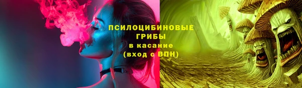 спайс Ладушкин