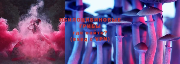 спайс Ладушкин