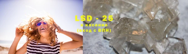 спайс Ладушкин