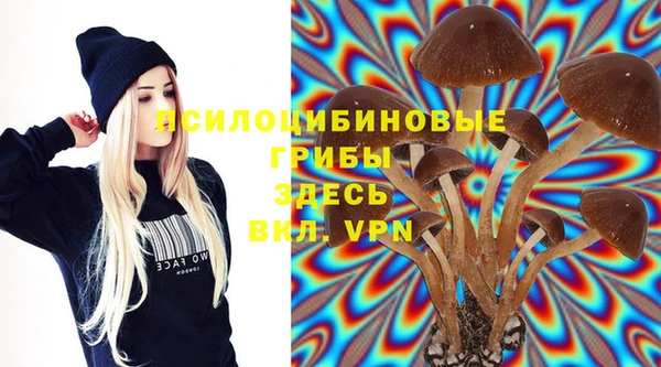 первитин Лабытнанги