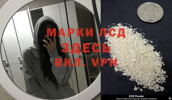 спайс Ладушкин