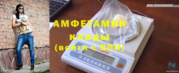 спайс Ладушкин